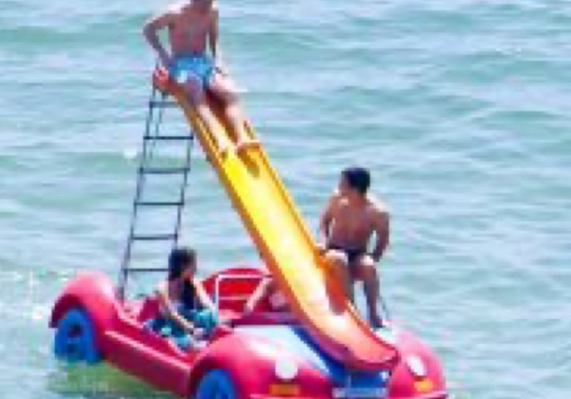 Gaivotas com escorrega no mar